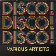 Various Artists - DISCO ! DISCO! DISCO ! (2025) [Hi-Res]