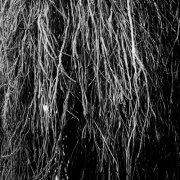 Eraldo Bernocchi - Nocturnal Rainforest (2025) [Hi-Res]