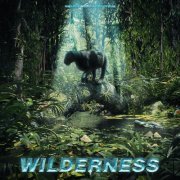 Amadea Music Productions - Wilderness (2019)