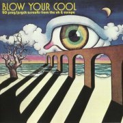 VA - Blow Your Cool (20 Prog  Psych Assaults  60's-70's) (2007)