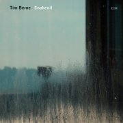 Tim Berne, Oscar Noriega, Matt Mitchell & Ches Smith - Snakeoil (2012) [Hi-Res]