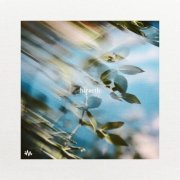 VA - Insight Music - Hiraeth (2026)