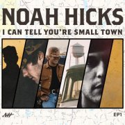 Noah Hicks - I Can Tell You're Small Town (2022) Hi Res