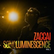 Zaccai - Sonoluminescence, Vol. 1 (2026)
