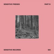 VA - Sensitive Friends - Part B (2024)