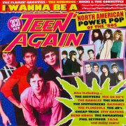VA - I Wanna Be a Teen Again: American Power Pop, 1980-1989 (2025)