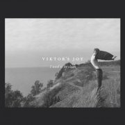 Viktor's Joy - I Used to Be Clean (2017)