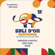 Nuits d'Afrique - Les Syli d'Or de la musique du monde 2025 - 18e Édition (Live) (2025) [Hi-Res]